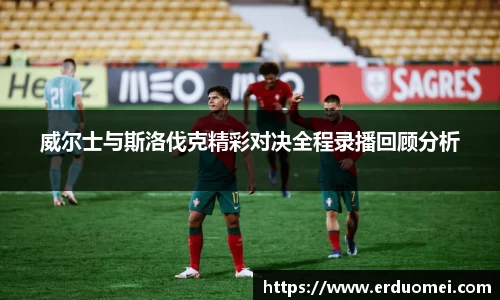 威尔士与斯洛伐克精彩对决全程录播回顾分析