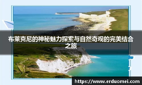 优游国际ub8