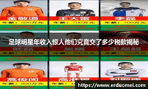 足球明星年收入惊人他们究竟交了多少税款揭秘